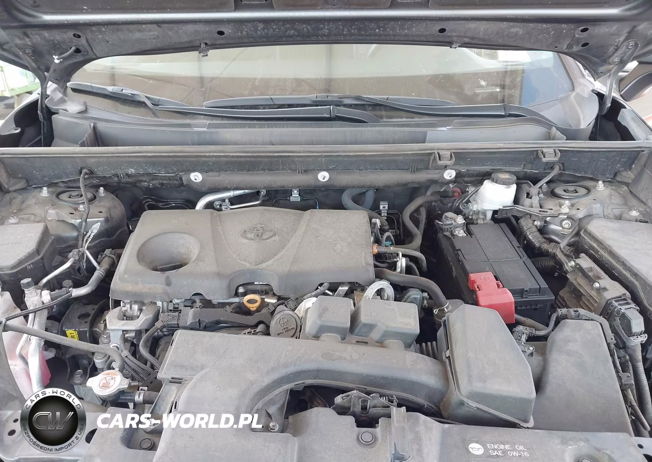 2023 Toyota Rav4 Xle VIN:2T3W1RFVXPW247806 - 10
