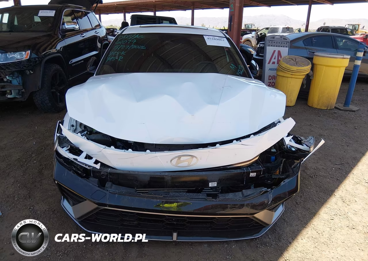 2025 Hyundai Elantra N Line VIN:KMHLR4DFXSU951449 - 11