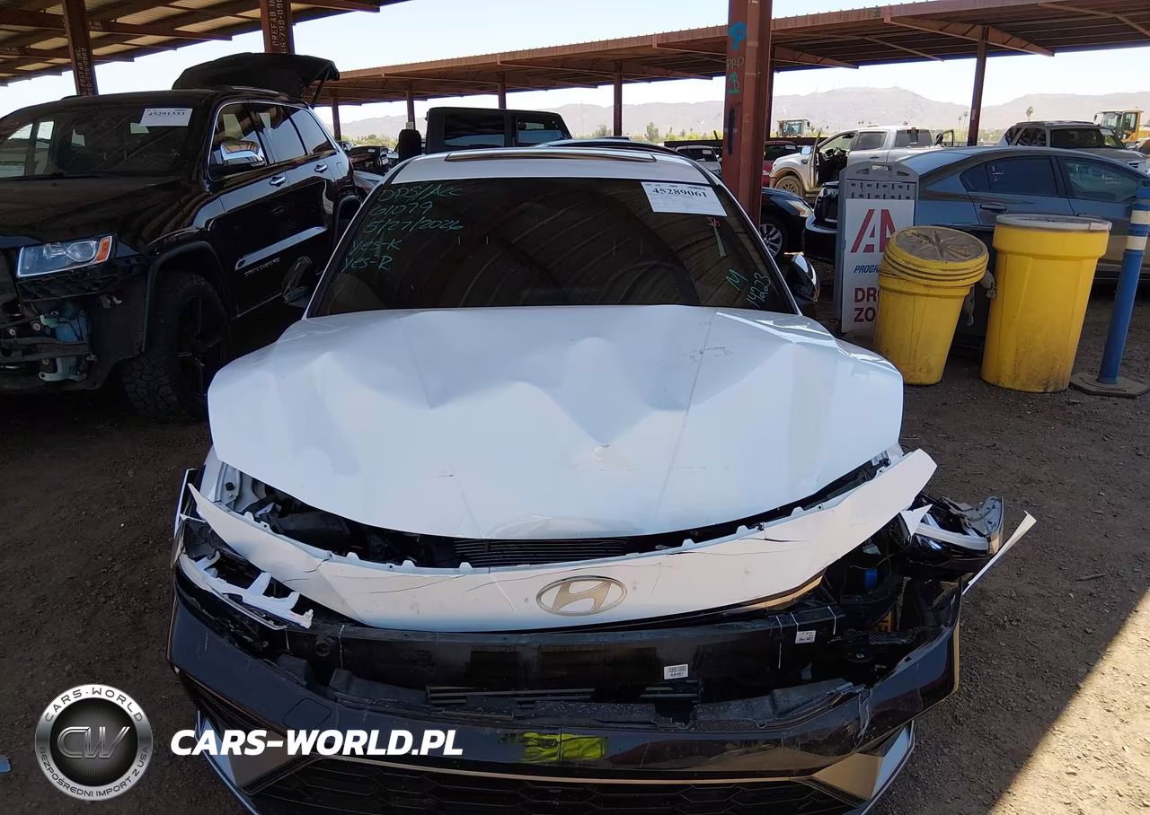 2025 Hyundai Elantra N Line VIN:KMHLR4DFXSU951449 - 6