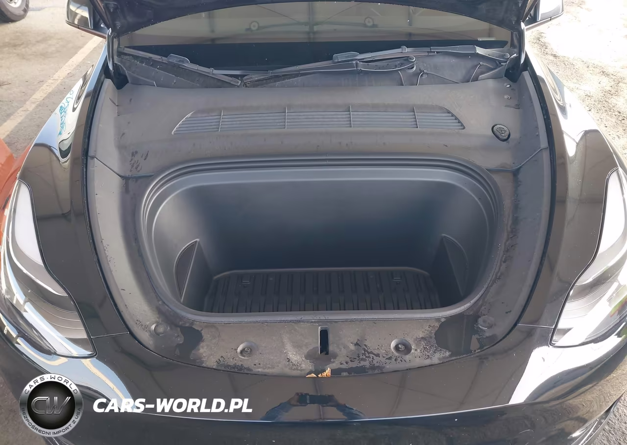 2023 Tesla Model Y Performance Dual Motor All-Wheel Drive VIN:7SAYGDEF9PF925202 - 10