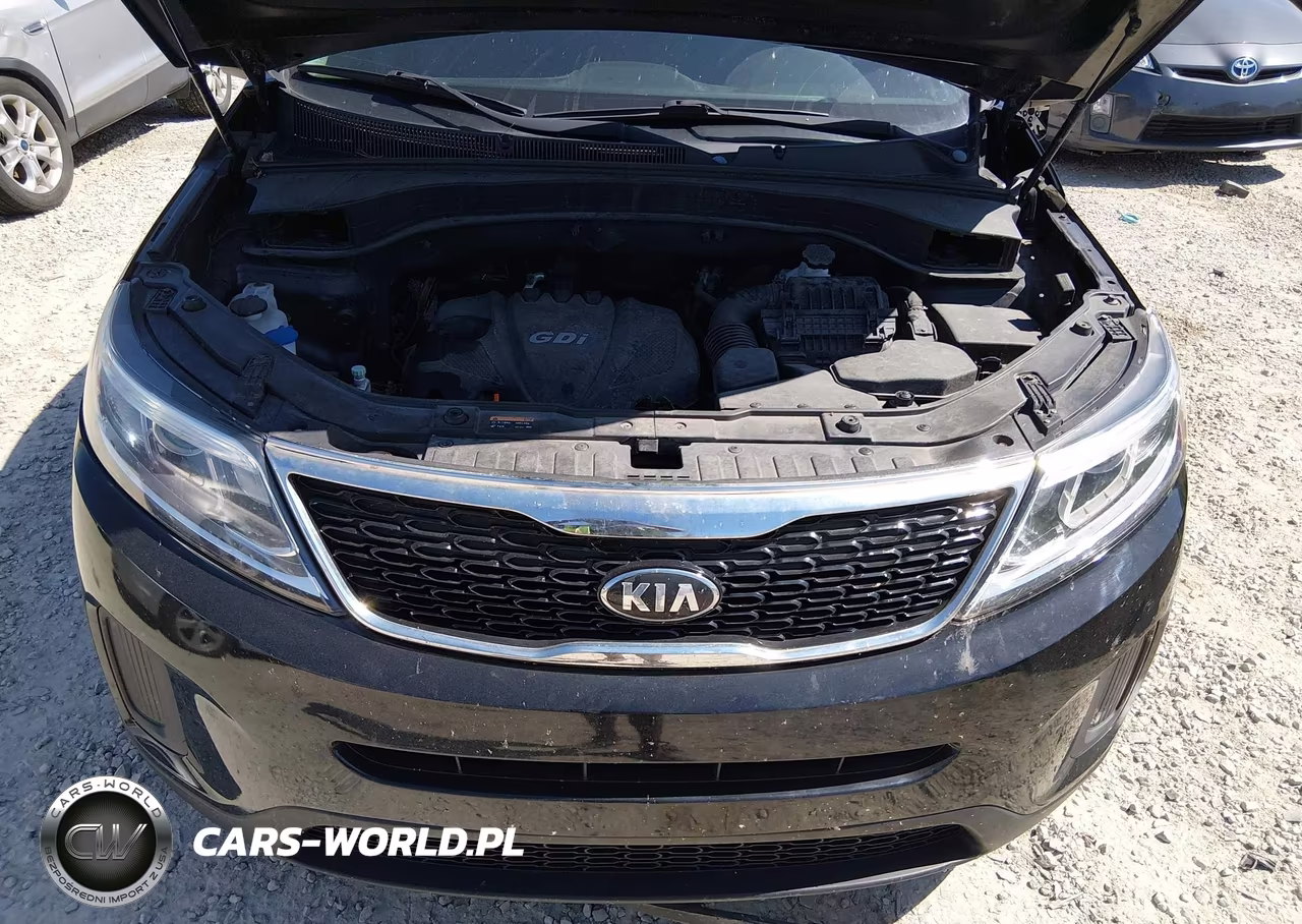 2014 Kia Sorento Lx VIN:5XYKT3A6XEG508367 - 10