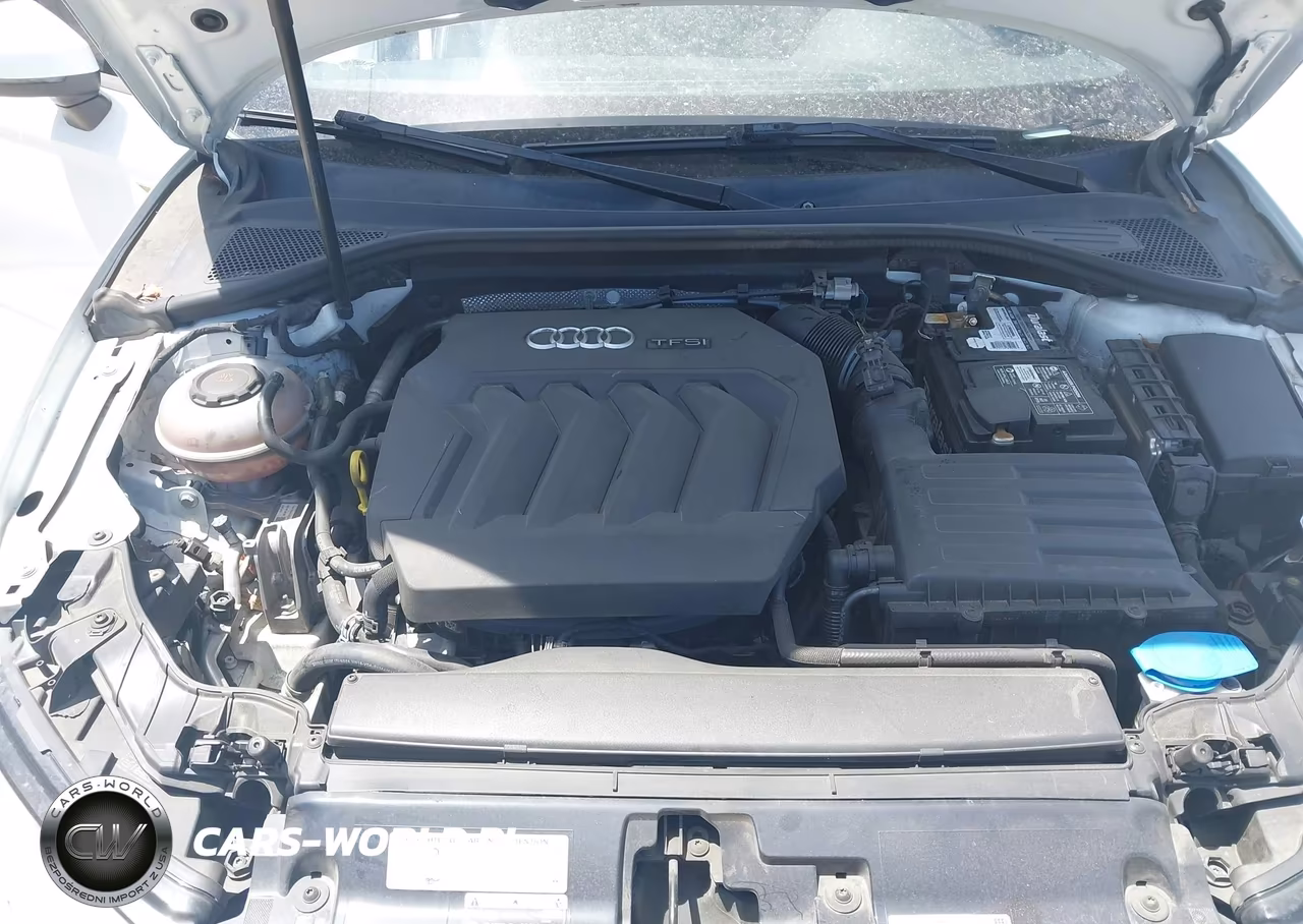 2018 Audi A3 2.0T Premium-2.0T Tech Premium VIN:WAUAUGFF8J1008837 - 10