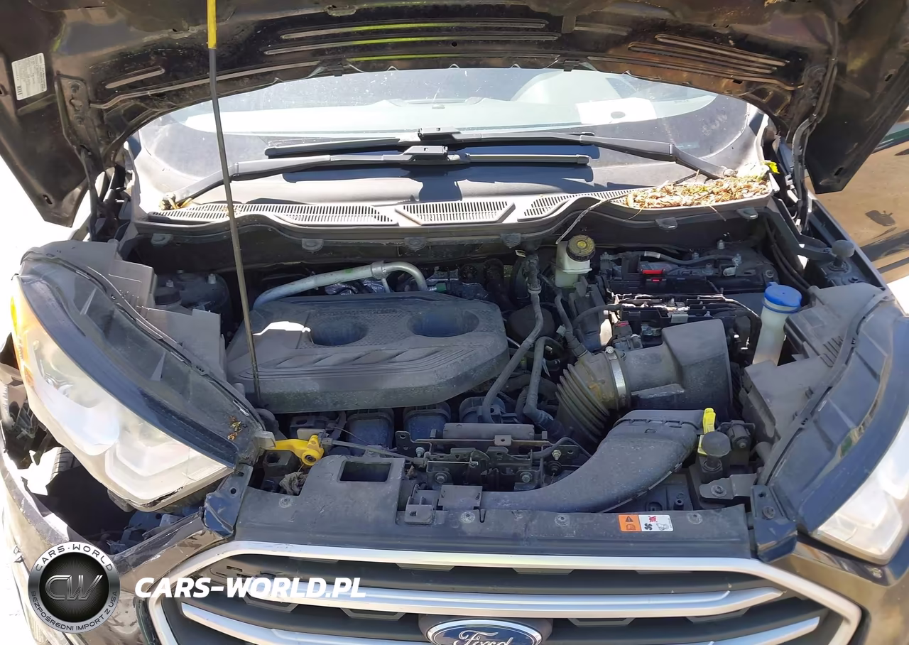 2018 Ford Ecosport Se VIN:MAJ6P1UL6JC165542 - 10