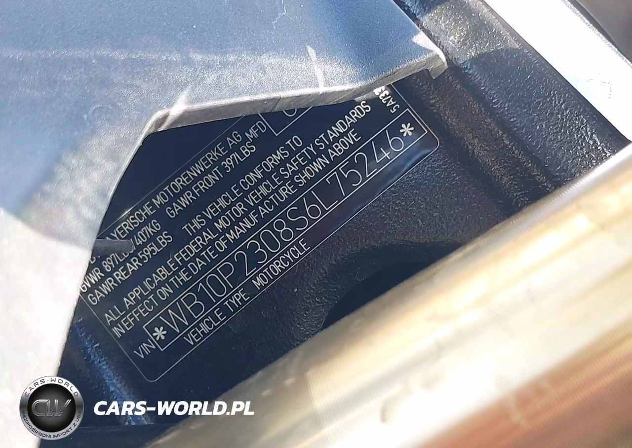 2025 BMW S 1000 Rr VIN:WB10P2308S6L75246 - 10