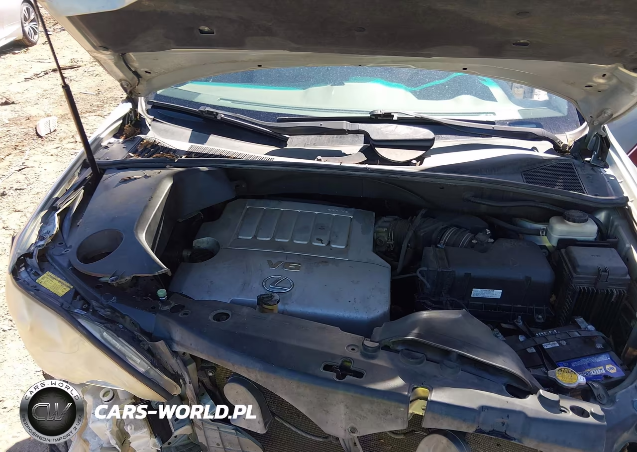 2007 Lexus Rx 350 VIN:2T2GK31U67C022852 - 10