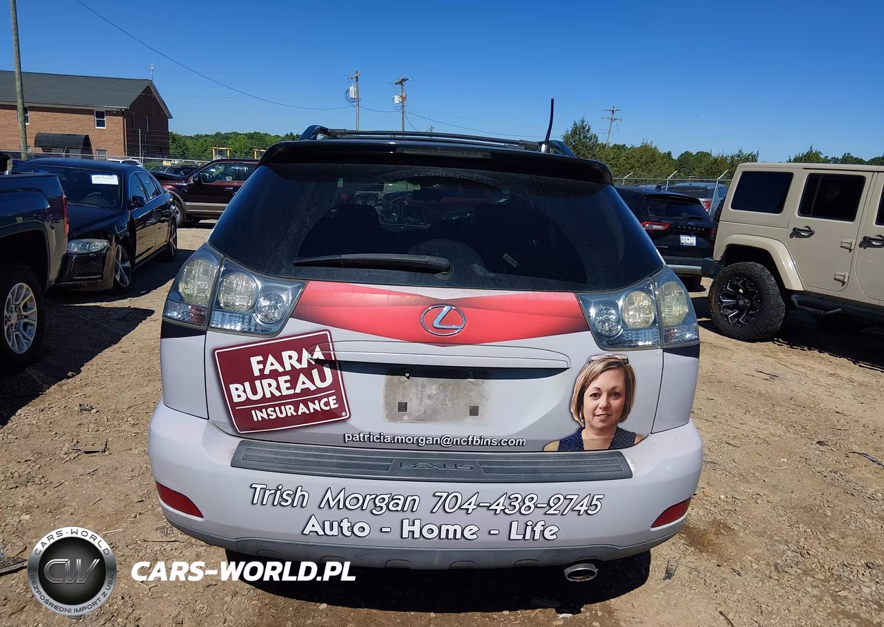 2007 Lexus Rx 350 VIN:2T2GK31U67C022852 - 16