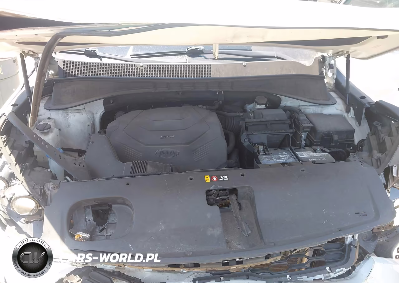 2020 Kia Sorento 3.3L Lx VIN:5XYPGDA57LG619849 - 10