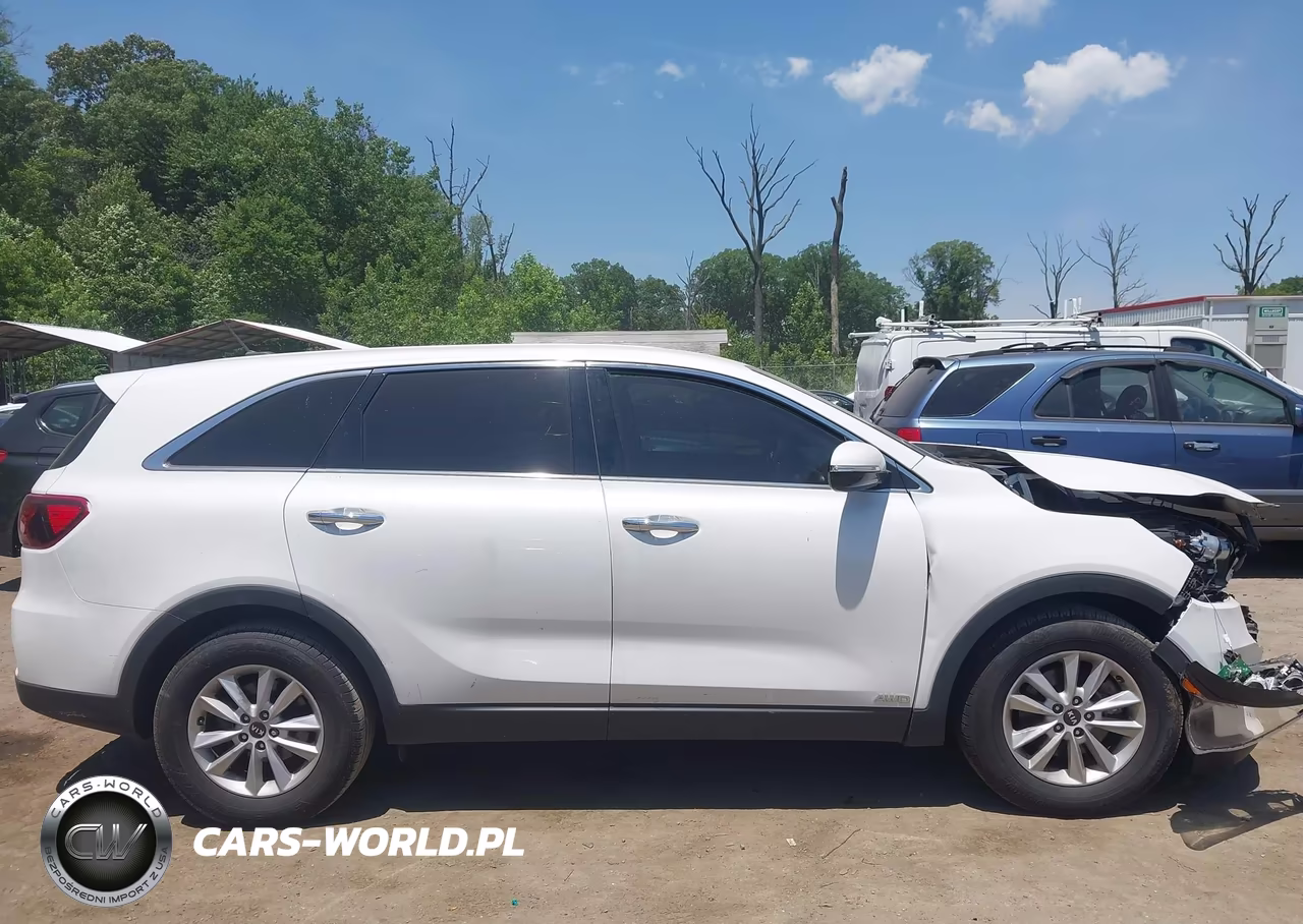 2020 Kia Sorento 3.3L Lx VIN:5XYPGDA57LG619849 - 13
