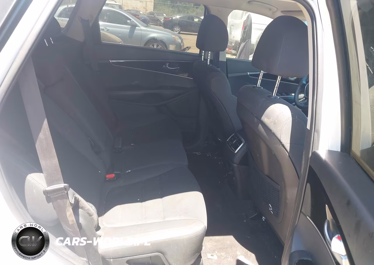 2020 Kia Sorento 3.3L Lx VIN:5XYPGDA57LG619849 - 8