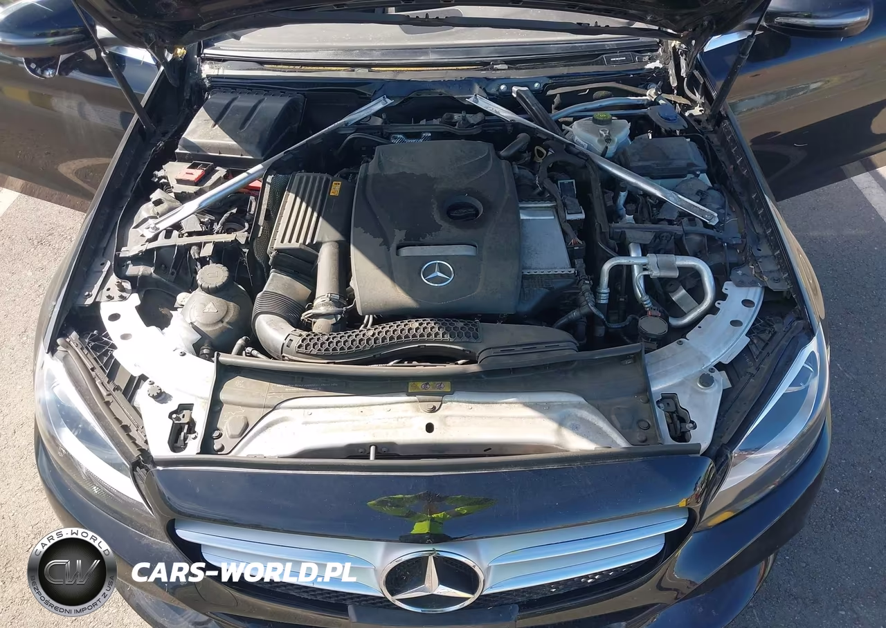 2018 Mercedes-Benz C 300 VIN:55SWF4JB2JU255668 - 10