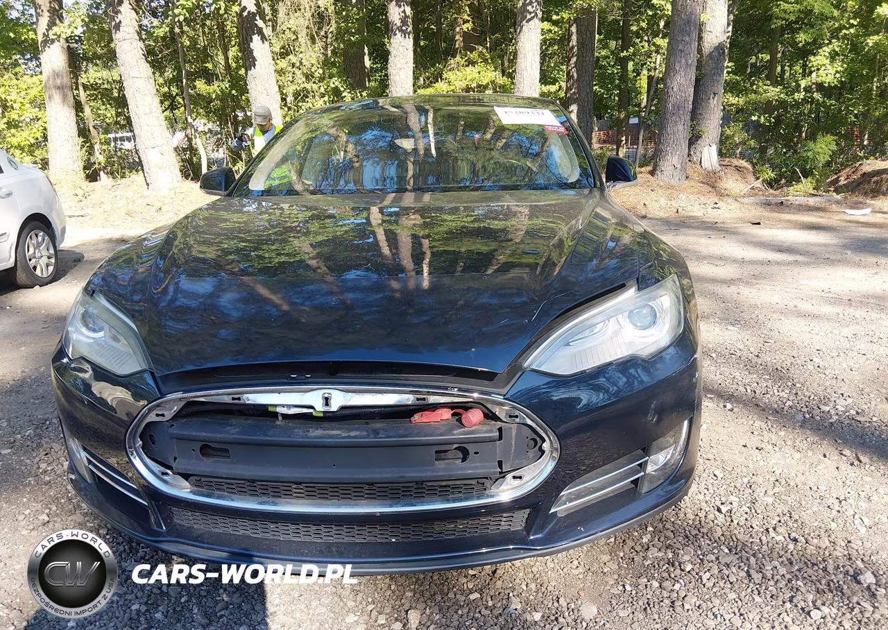 2013 Tesla Model S Performance VIN:5YJSA1DPXDFP15751 - 13