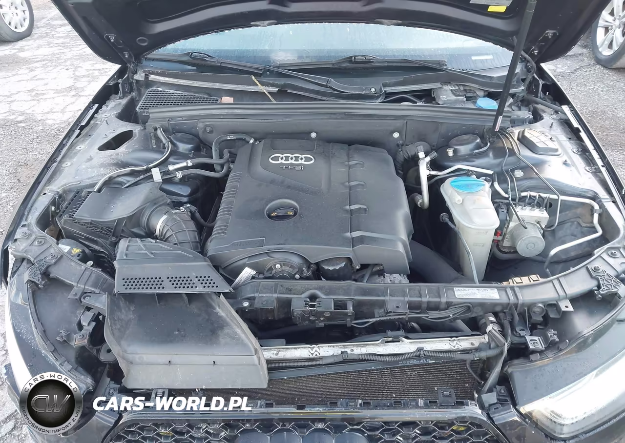 AUDI A4 PREMIUM VIN:WAUFFAFL8DN030627 - 10