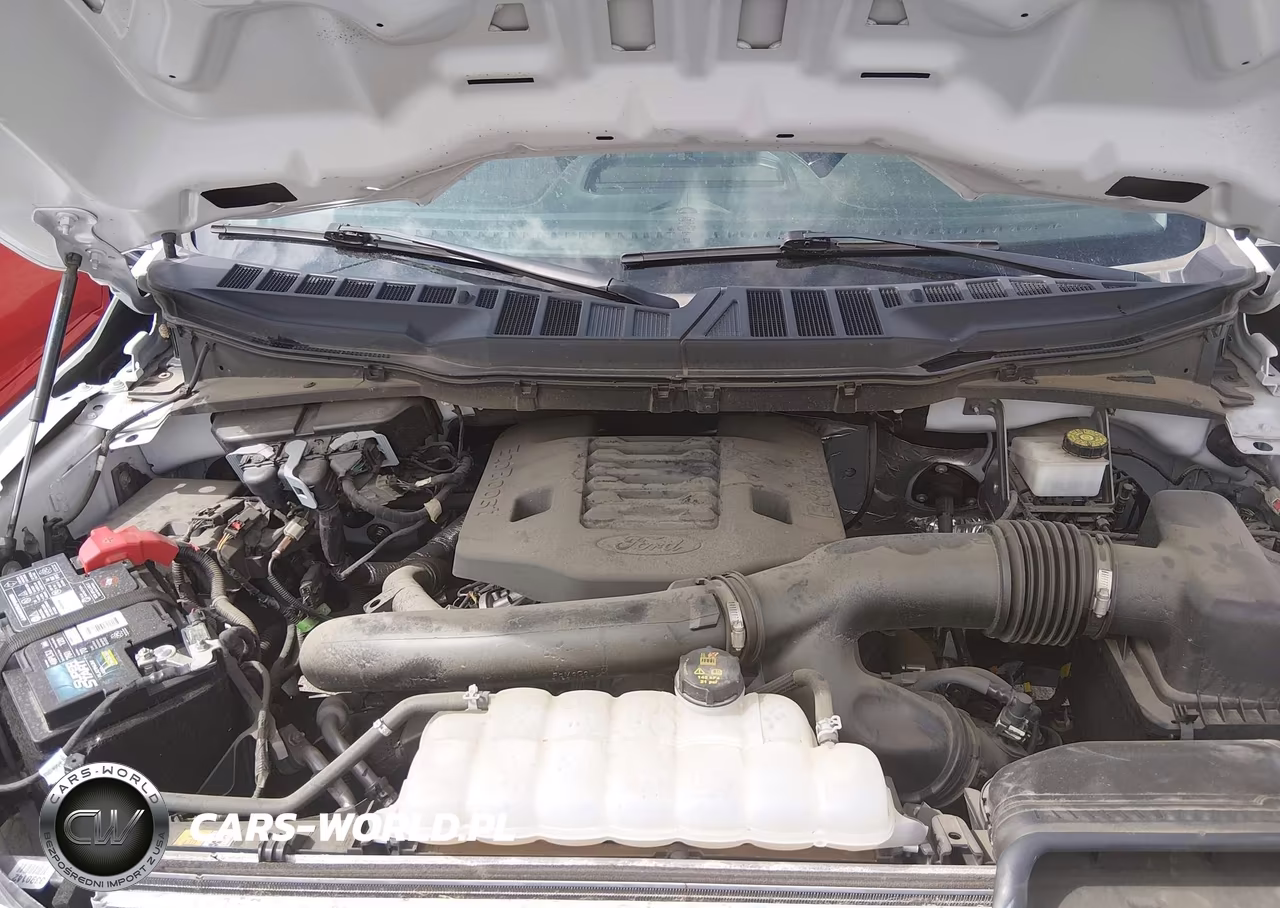 2023 Ford F-150 Xl VIN:1FTFW1E83PKG16173 - 10