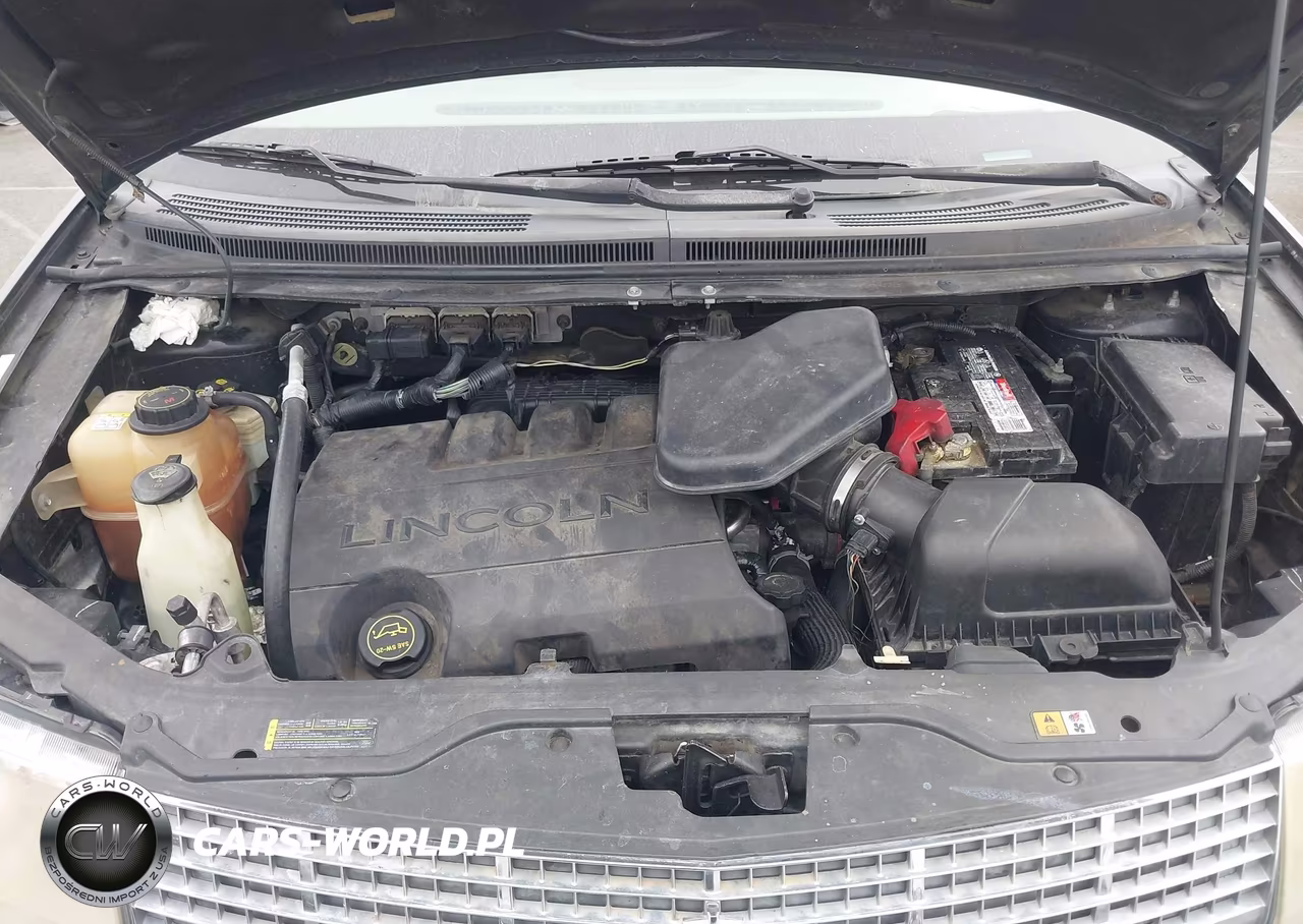 2007 Lincoln Mkx VIN:2LMDU88C77BJ05078 - 10