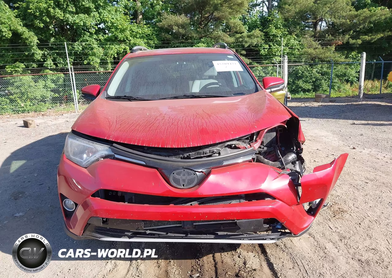 2016 Toyota Rav4 Xle VIN:2T3RFREV5GW531263 - 13