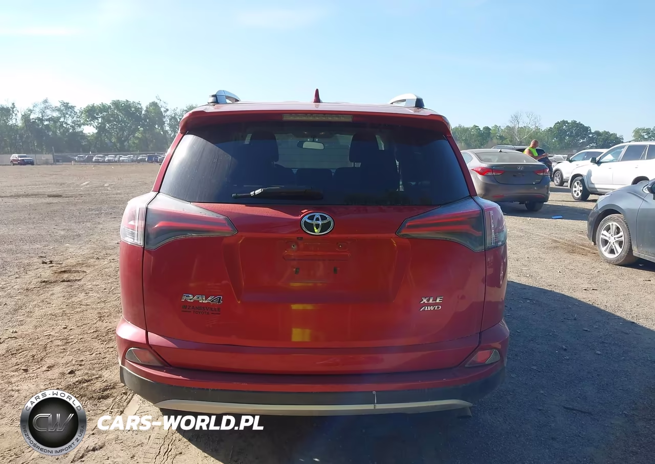 2016 Toyota Rav4 Xle VIN:2T3RFREV5GW531263 - 17