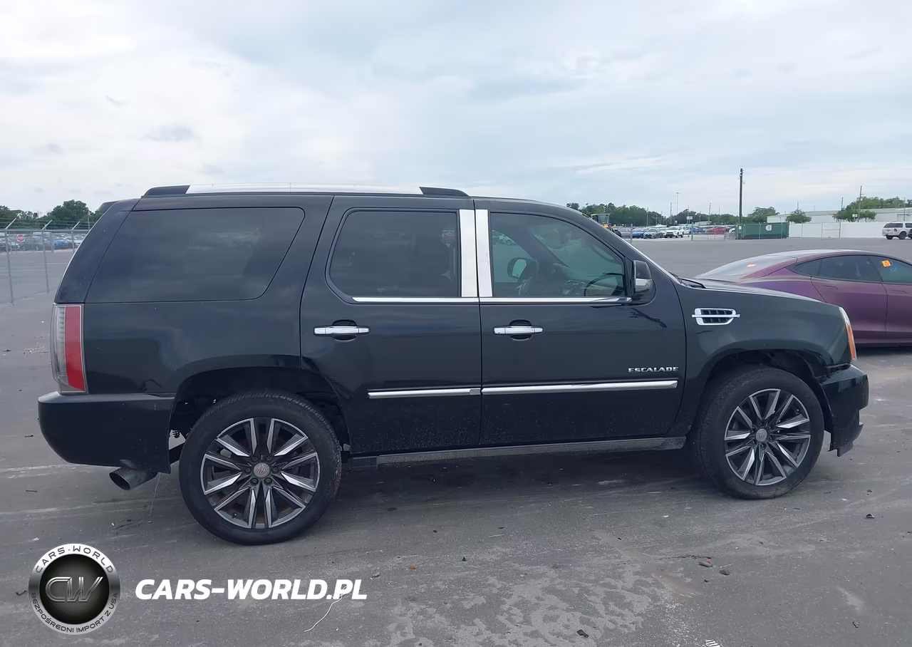 2011 Cadillac Escalade Platinum Edition VIN:1GYS4DEF9BR283816 - 14