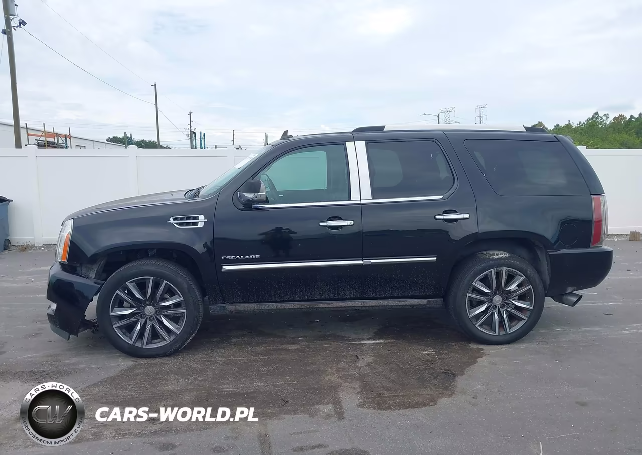 2011 Cadillac Escalade Platinum Edition VIN:1GYS4DEF9BR283816 - 15