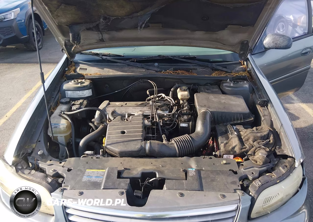 2005 Chevrolet Classic VIN:1G1ND52F45M177698 - 10