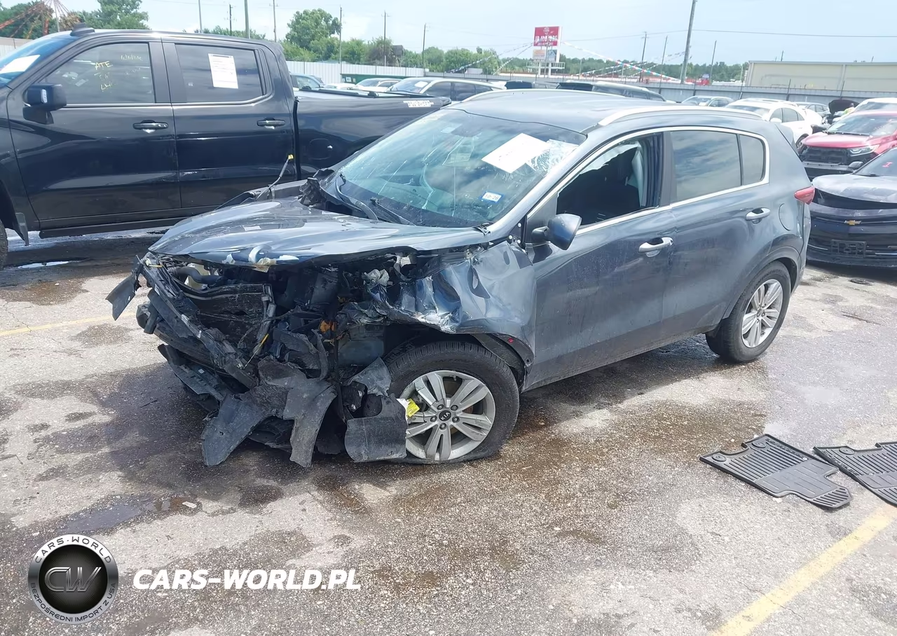 2019 Kia Sportage Lx VIN:KNDPM3AC2K7550808 - 2