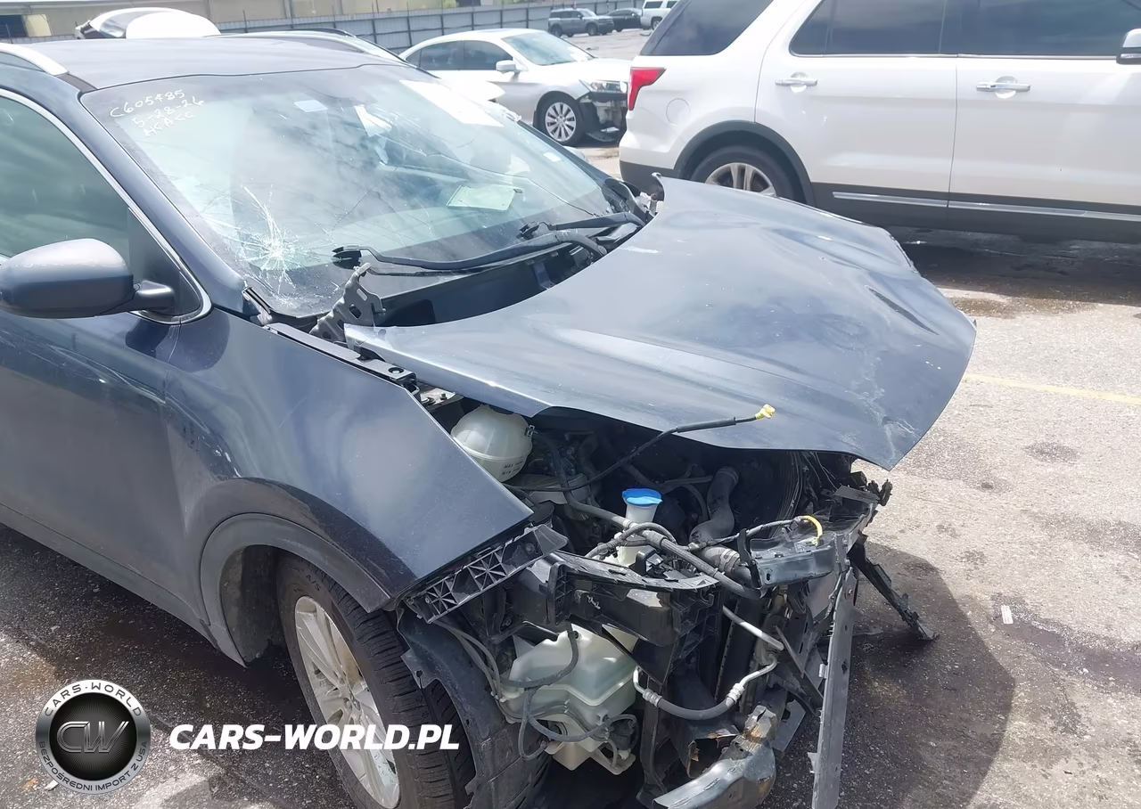 2019 Kia Sportage Lx VIN:KNDPM3AC2K7550808 - 6