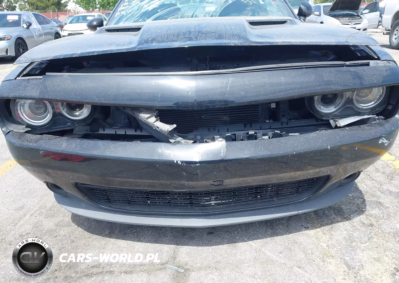 2019 Dodge Challenger Sxt VIN:2C3CDZAG6KH524404 - 17