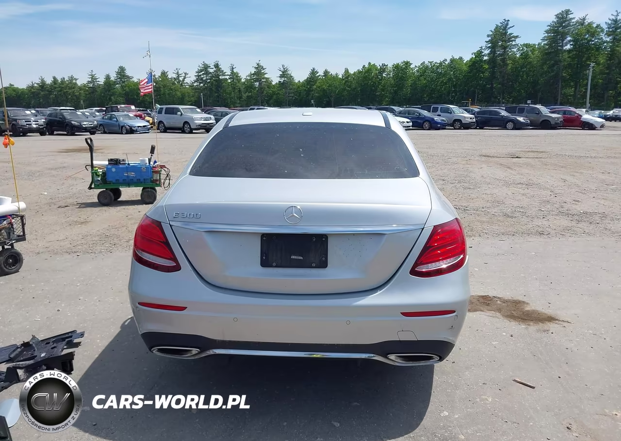 2019 Mercedes-Benz E 300 VIN:WDDZF4JB7KA527601 - 16