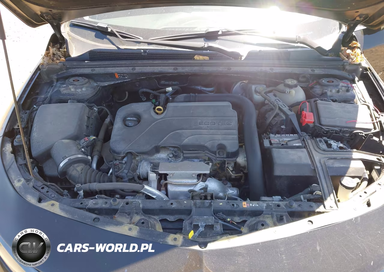 2019 Chevrolet Malibu Rs VIN:1G1ZG5ST1KF185501 - 10