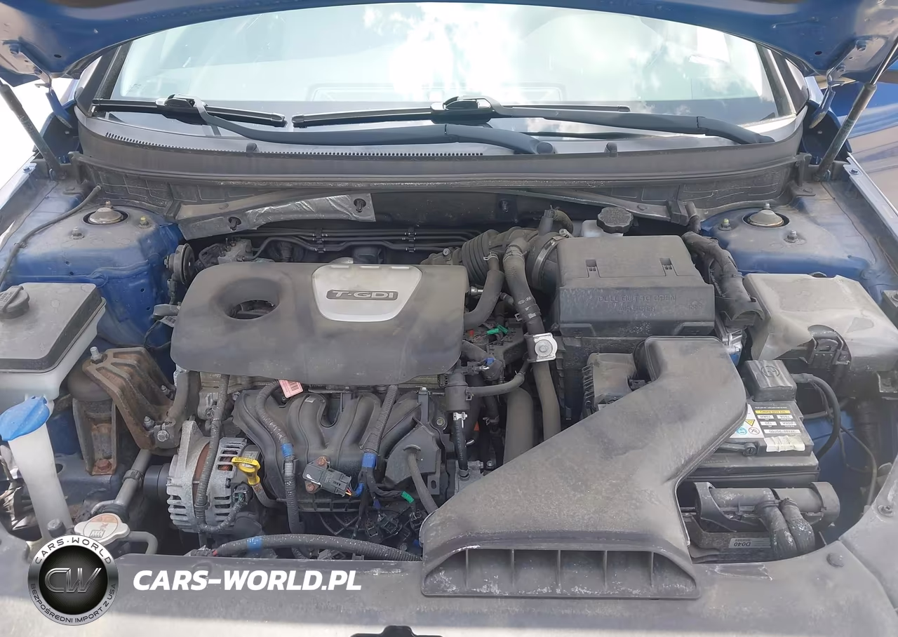 2019 Hyundai Sonata Eco VIN:5NPE24AA7KH767879 - 10