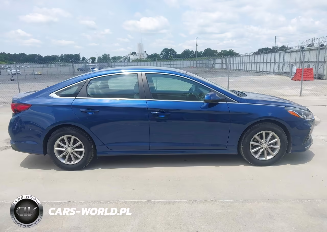 2019 Hyundai Sonata Eco VIN:5NPE24AA7KH767879 - 13