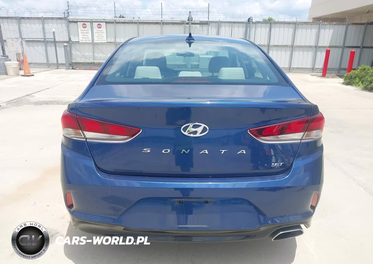 2019 Hyundai Sonata Eco VIN:5NPE24AA7KH767879 - 16