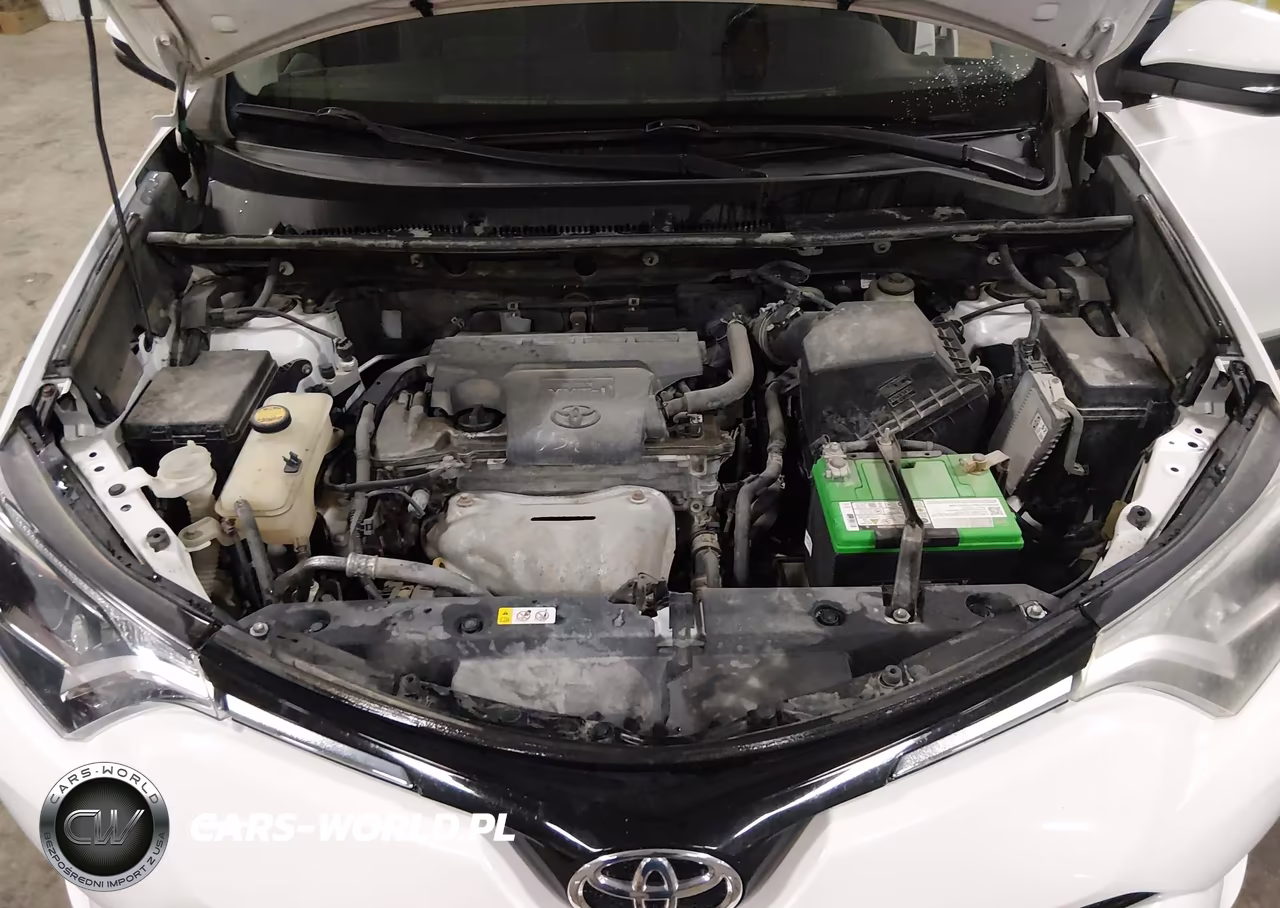 2016 Toyota Rav4 Xle VIN:2T3RFREV2GW443903 - 10