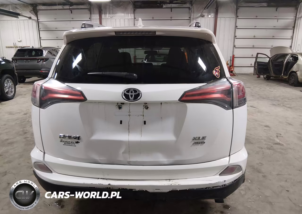 2016 Toyota Rav4 Xle VIN:2T3RFREV2GW443903 - 17