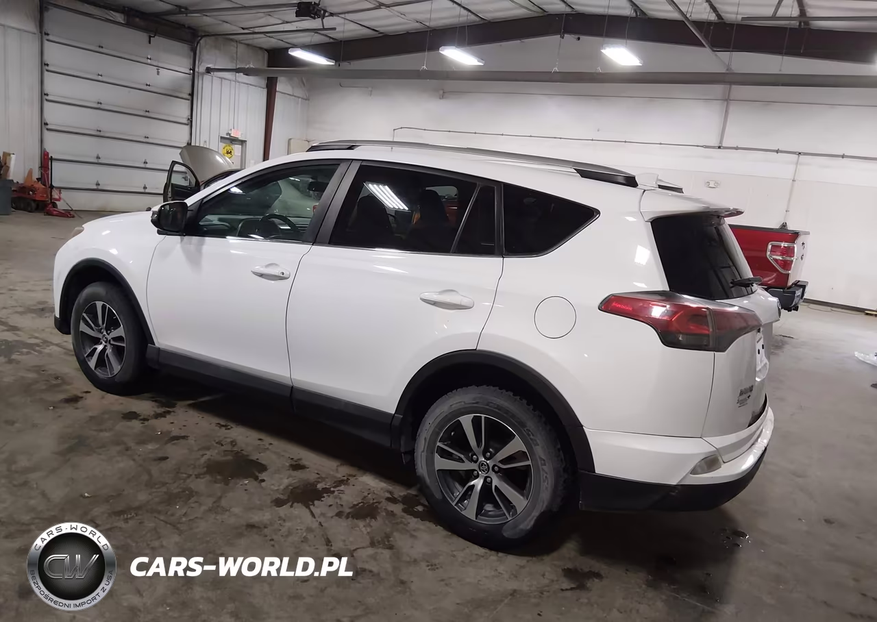 2016 Toyota Rav4 Xle VIN:2T3RFREV2GW443903 - 3