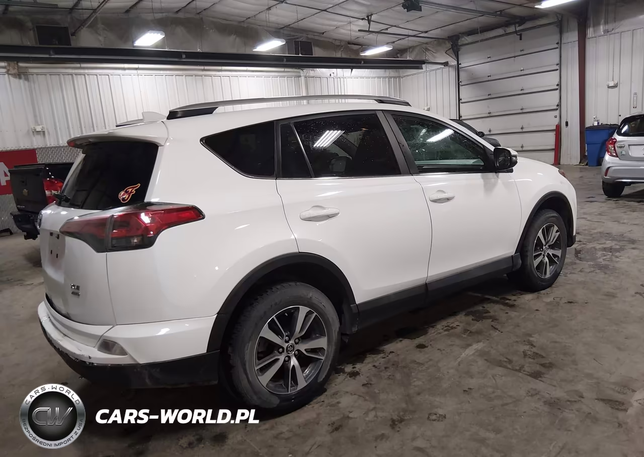2016 Toyota Rav4 Xle VIN:2T3RFREV2GW443903 - 4