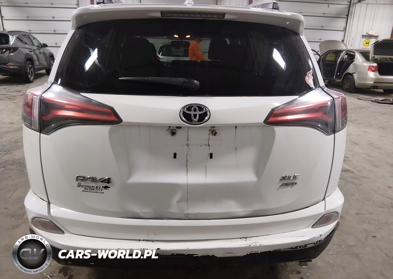 2016 Toyota Rav4 Xle VIN:2T3RFREV2GW443903 - 6
