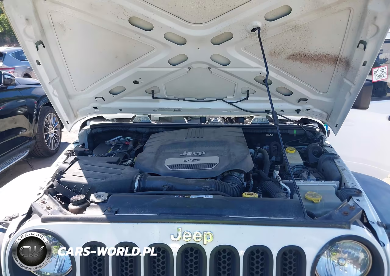 2015 Jeep Wrangler Unlimited Sport VIN:1C4BJWDG4FL541012 - 10
