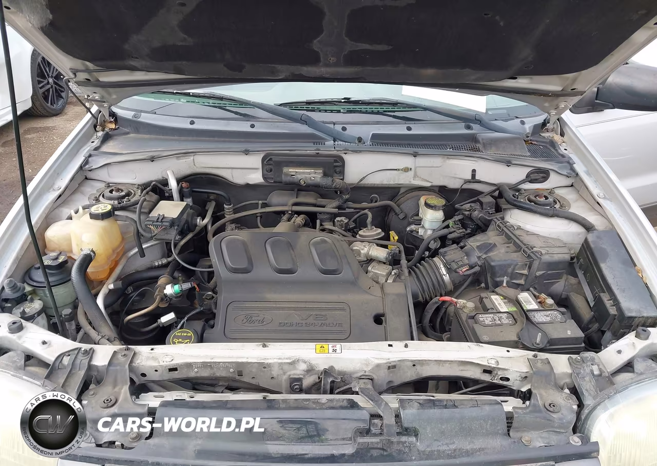 2003 Ford Escape Xlt VIN:1FMYU03103KD48879 - 10