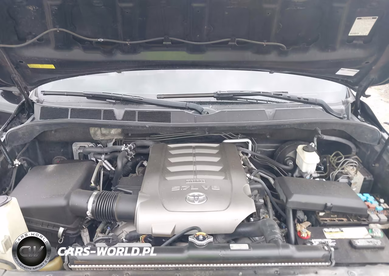 2010 Toyota Sequoia Platinum 5.7L V8 VIN:5TDDW5G1XAS033310 - 10