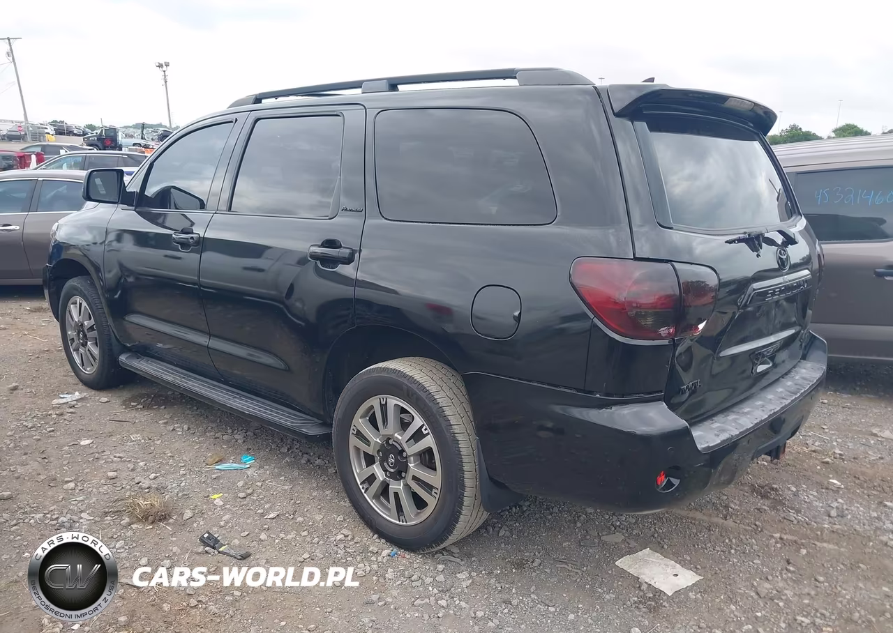 2010 Toyota Sequoia Platinum 5.7L V8 VIN:5TDDW5G1XAS033310 - 3