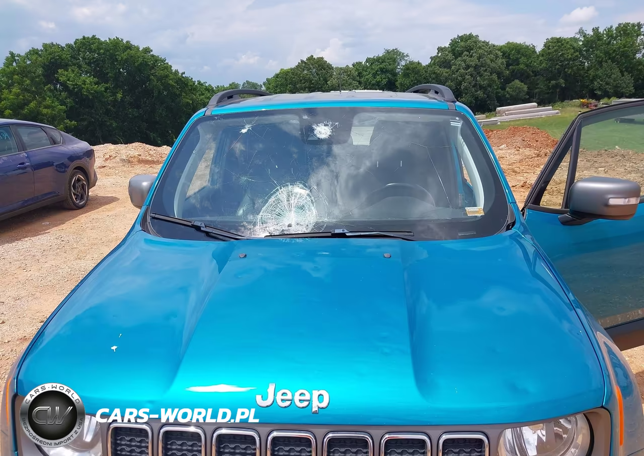 2021 Jeep Renegade Limited 4X4 VIN:ZACNJDD13MPM95076 - 6