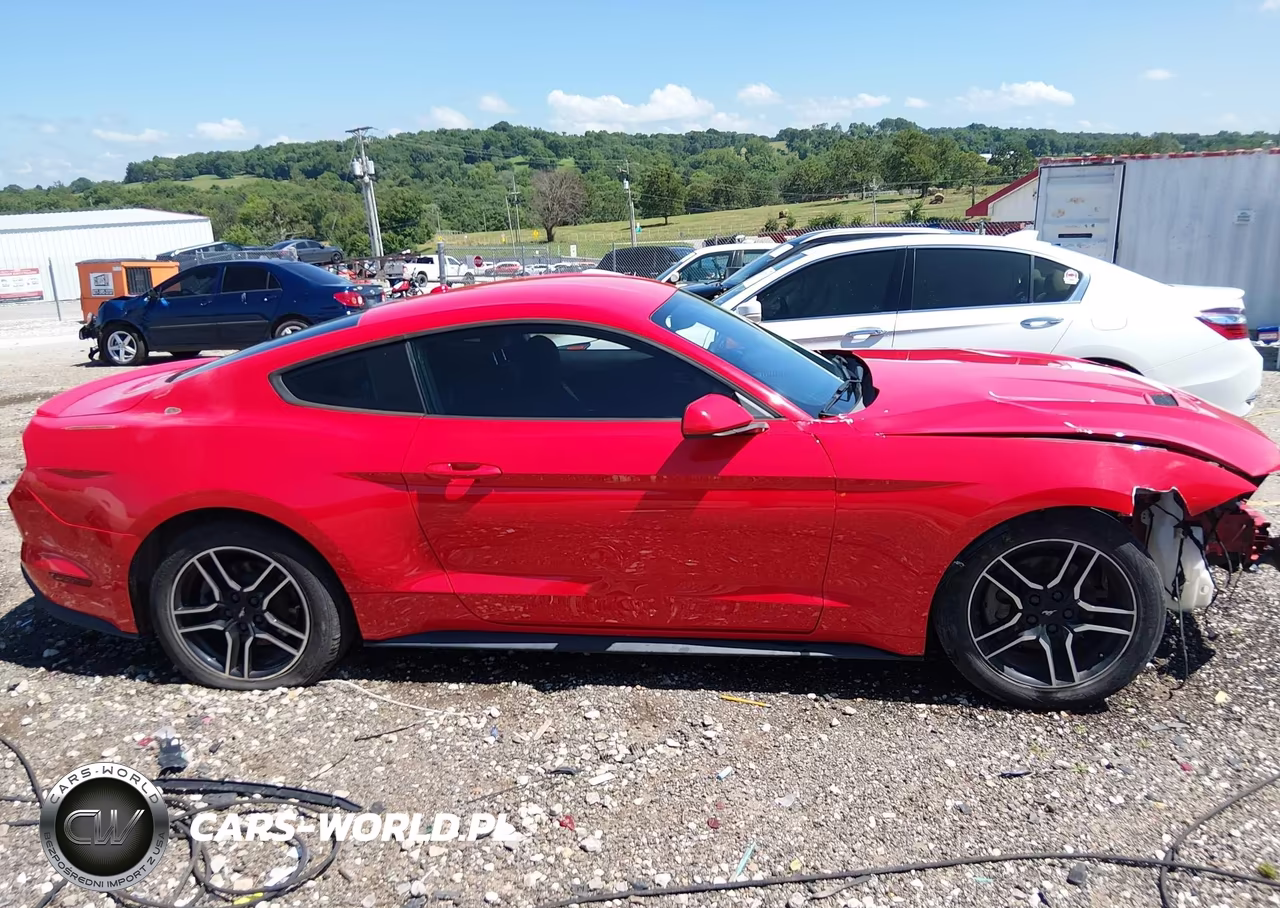 2018 Ford Mustang Ecoboost VIN:1FA6P8THXJ5106021 - 13