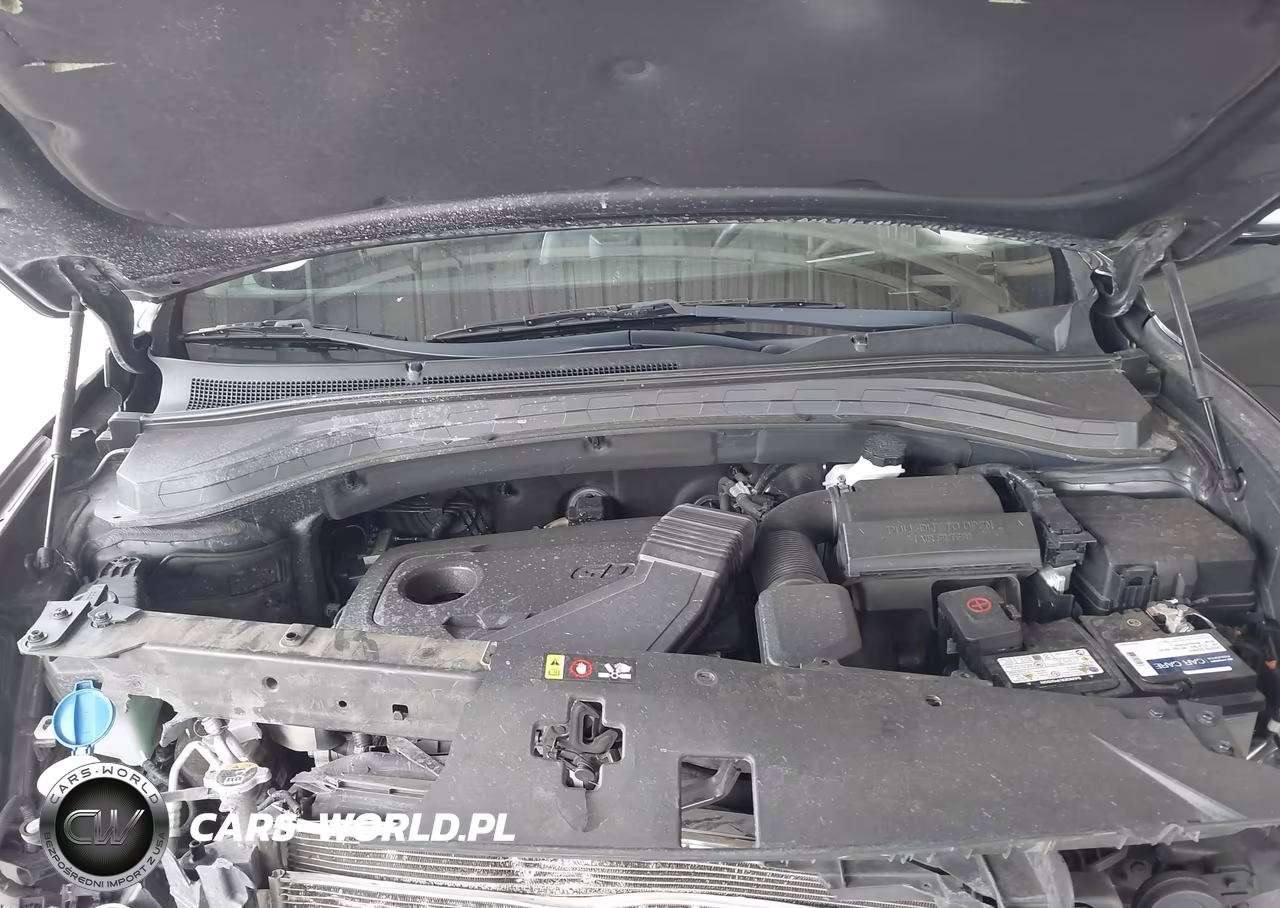 2020 Hyundai Santa Fe Limited VIN:5NMS53AD4LH223398 - 10