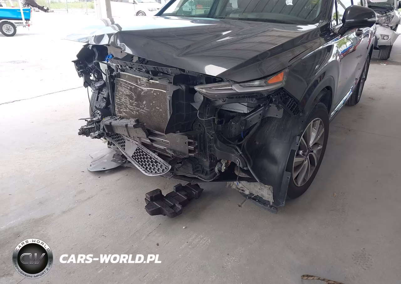 2020 Hyundai Santa Fe Limited VIN:5NMS53AD4LH223398 - 6