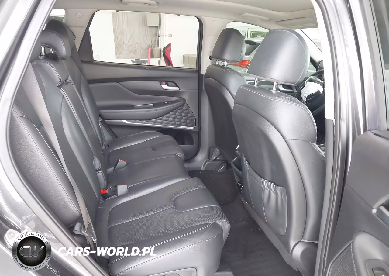 2020 Hyundai Santa Fe Limited VIN:5NMS53AD4LH223398 - 8