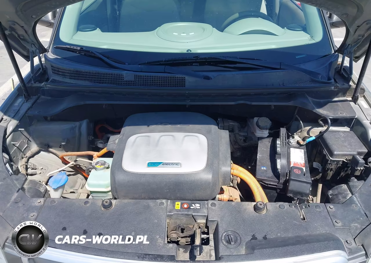 2017 Kia Soul Ev Eve VIN:KNDJP3AE3H7022458 - 10