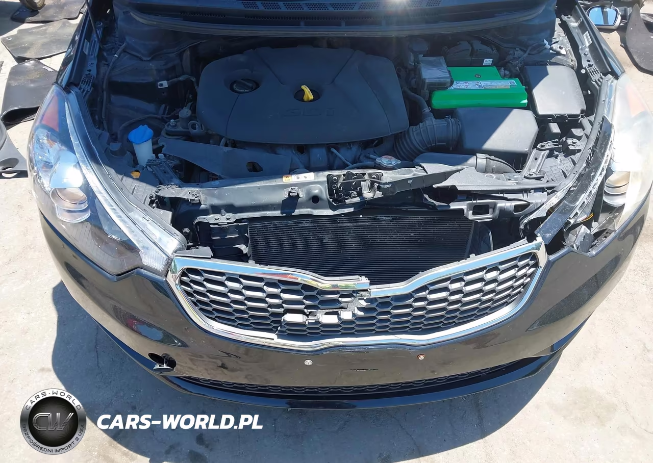 2015 Kia Forte Ex VIN:KNAFX5A82F5372309 - 10