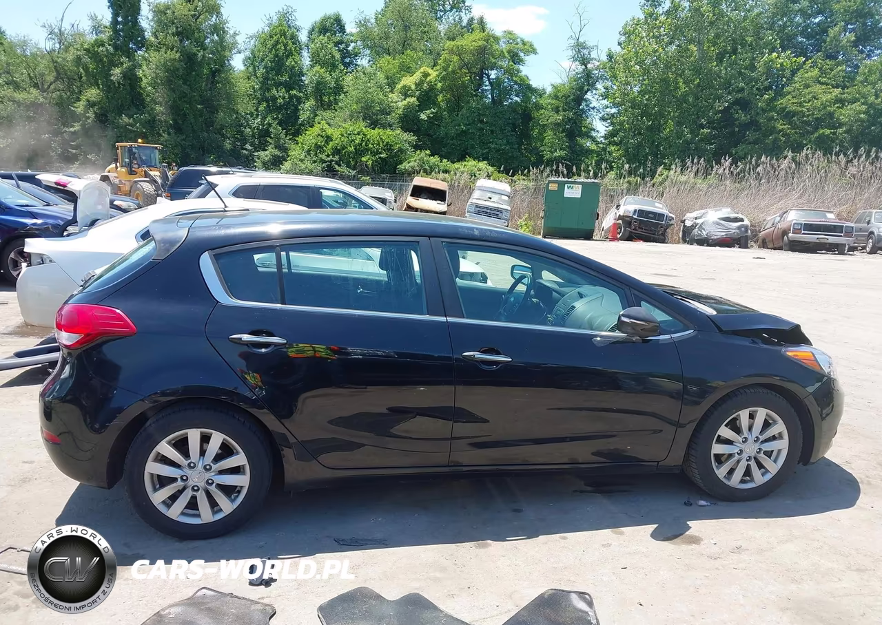 2015 Kia Forte Ex VIN:KNAFX5A82F5372309 - 14