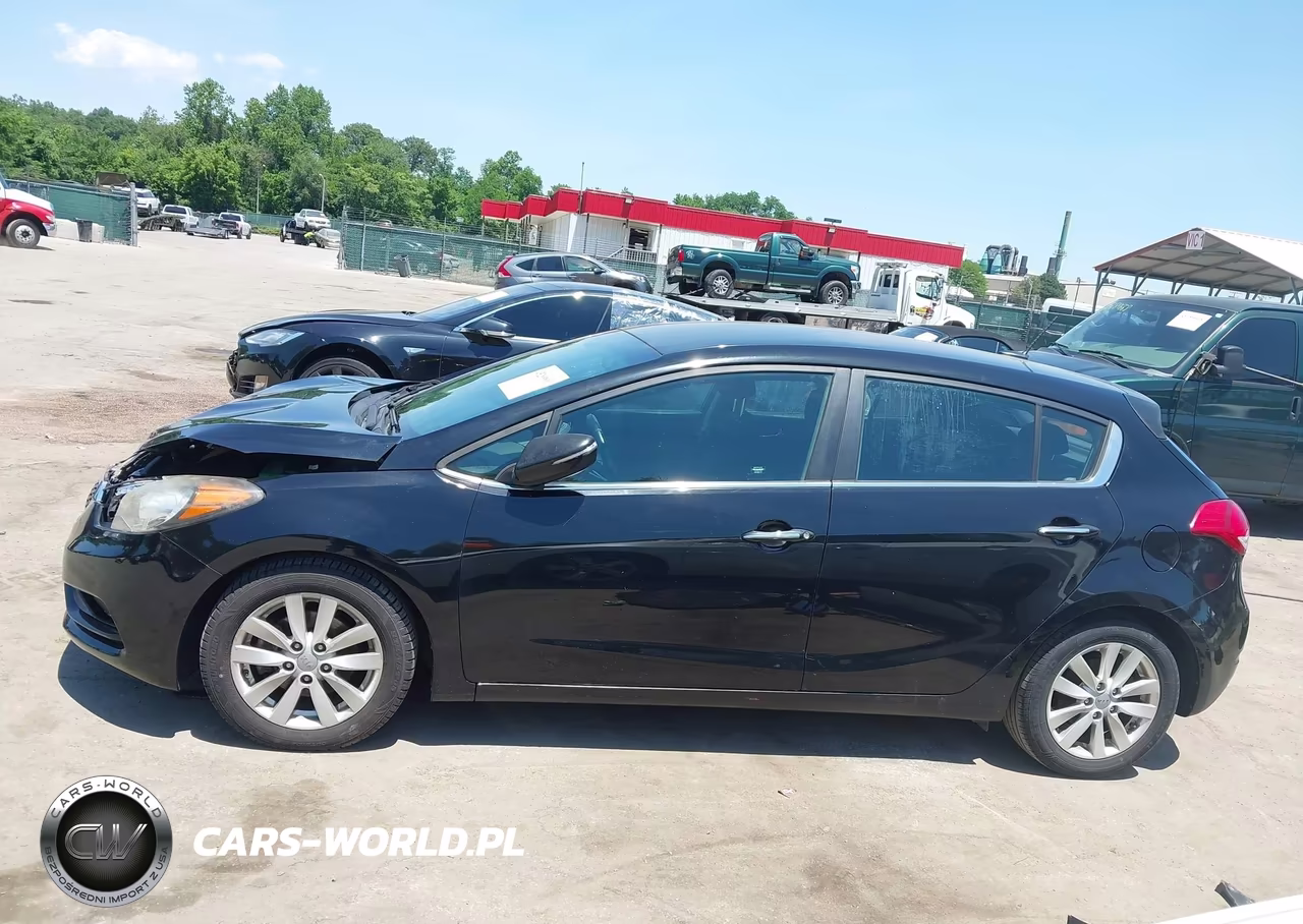 2015 Kia Forte Ex VIN:KNAFX5A82F5372309 - 15