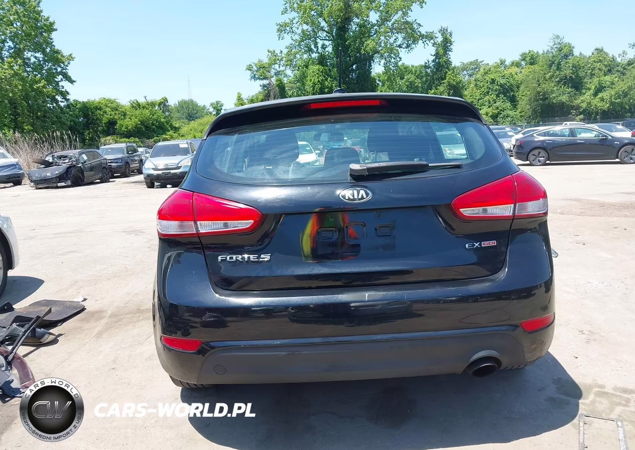 2015 Kia Forte Ex VIN:KNAFX5A82F5372309 - 17